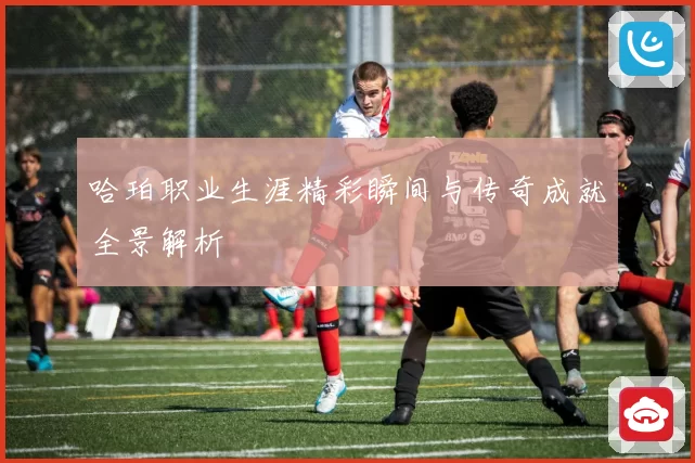 哈珀职业生涯精彩瞬间与传奇成就全景解析