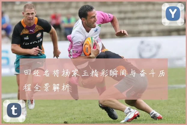田径名将杨家玉精彩瞬间与奋斗历程全景解析